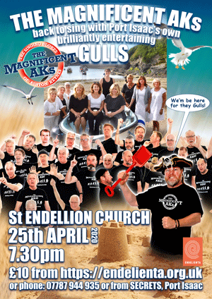 gulls gig